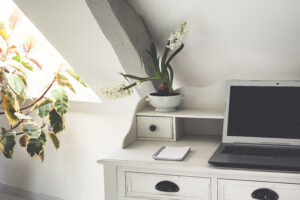 Laptop on a desk surrounded by plants.