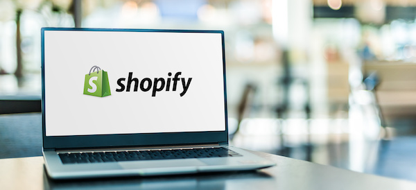 shopify ecommerce store